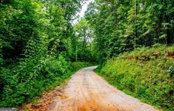 Goolsby Road, Carrollton, GA 30117