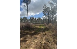CR 6650, BRUNDIDGE, AL 36010