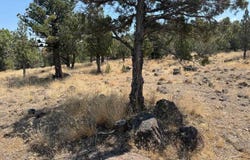 Dwinnell, Weed, CA 96094
