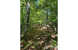 Beech Ridge Road, Jay, ME 04239