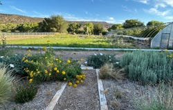 107 CR 51, Velarde, NM 87582
