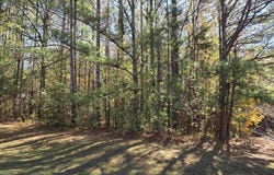 MAYNOR LANE lot: 21, ONEONTA, AL 35121