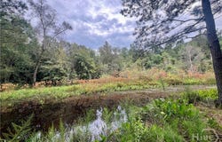 McCarty Dodd Rd., Colbert, GA 30628