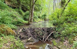 379A Highway 1690, Louisa, KY 41230