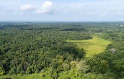 CR 2650, Mineola, TX 75773