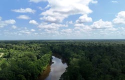 County Road 332, Lacey, AR 71675
