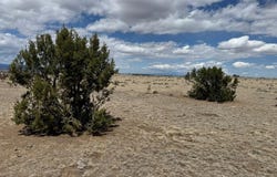 42` CR 122, Walsenburg, CO 81089