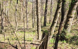 Id03 Highlander Rd, CAMDEN, TN 38320