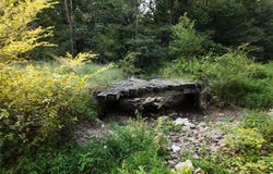 Flowery Branch Rd, Kingston, GA 30145