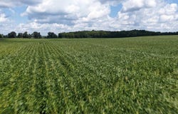 Boughtonville Rd E, Greenwich, OH 44837