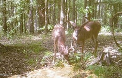 Marnie Crawford Road, Cruger, MS 38924