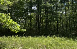 Augusta Road, Jefferson, ME 04348