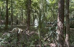 Church Road, Goodman, MS 39079