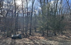 Decker Road lot: 736, Bushkill, PA 18324
