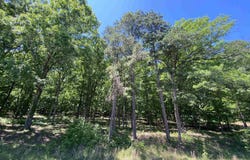 215 Watersedge Drive, Edgemont, AR 72044