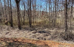 Bridge Lane, Tryon, NC 28782