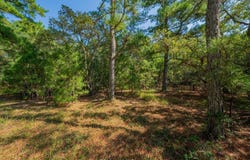 2391 Ocean Pearl Road lot: 21, Corolla, NC 27927