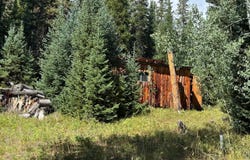 67 Alpine Ln, Walden, CO 80430