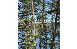 307 Rocky Point Loop Rd, St. Maries, ID 83861
