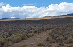 Boulder Lake Road, Gerlach, NV 89412
