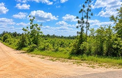 Bice & Jones Rd, Vinegar Bend, AL 36584