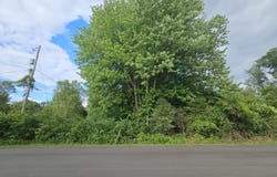 0 V/L Carlysle Drive, Brooklyn, MI 49230