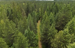 Middle Rd, Lenore, ID 83541