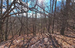 220 Sky Drive, Maggie Valley, NC 28751