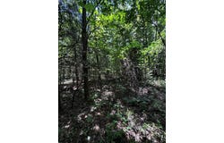 Easters Road, Boydton, VA 23917