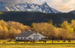 50 Tippet Trail, Darby, MT 59829