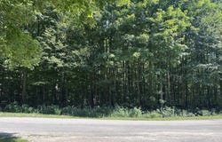 0 ANTIOCH DRIVE, MESICK, MI 49668