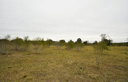 277 FM 672, Dale, TX 78616