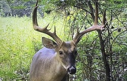 001 HWY 465, Rolling Fork, MS 39159