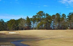 433 Thimbleberry Drive, Vass, NC 28394