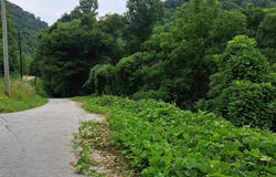99 Jackson Road, Manchester, KY 40962