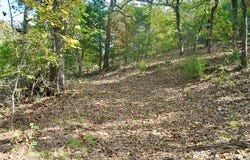 3506 Sawmill Road, Caddo, OK 74729