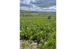 400 MAGGI Rd, Montpelier, ID 83254