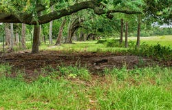 4497 Howard Road, Pavo, GA 31778
