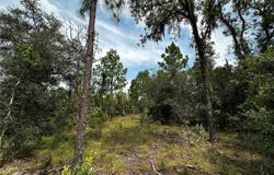 150 SE 144TH Avenue, WILLISTON, FL 32696