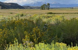 110340 CR 19, San Luis, CO 81522