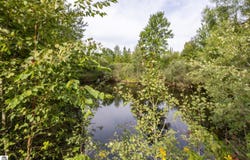 0 S 27 ROAD, CADILLAC, MI 49601