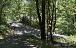 7 Wolfsbane Lane, Todd, NC 28684