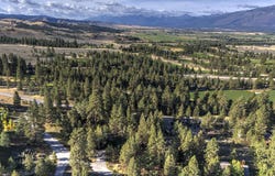695 Pallo Trail, Hamilton, MT 59840