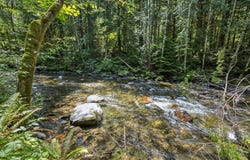 26845 E ROLLING RIFFLE Ln, Rhododendron, OR 97049