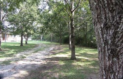 342 Pea Ridge Road, Picayune, MS 39466