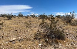 Leaping Lizard Lane, Apple Valley, CA 92307