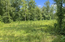 Holladay Rd, Parsons, TN 38363
