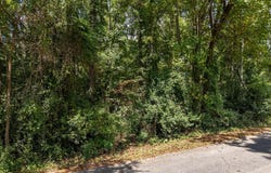 112 Benjamin Street, Greenwood, SC 29646