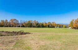 Gilbert Road, Williamstown, VT 05679