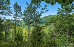 52 Steep Lane, Maggie Valley, NC 28751